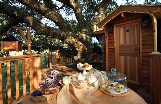 breakfast-in-your-treehouse