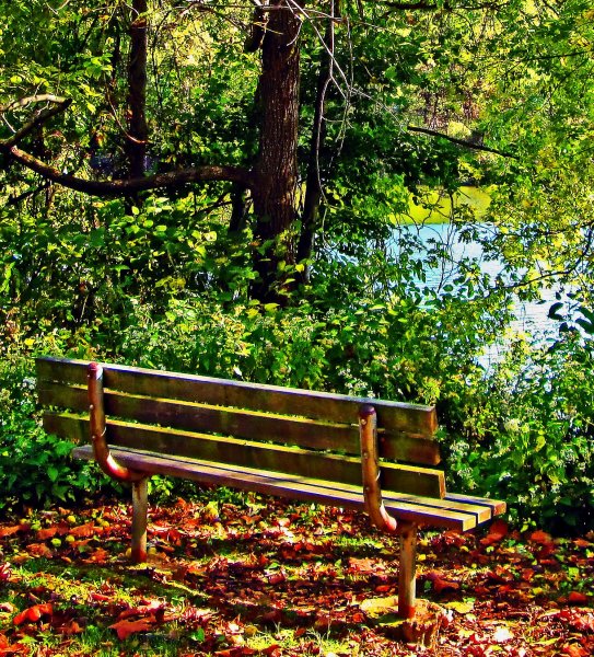 Park-Bench-Overlooking-The-Schuylkill-River