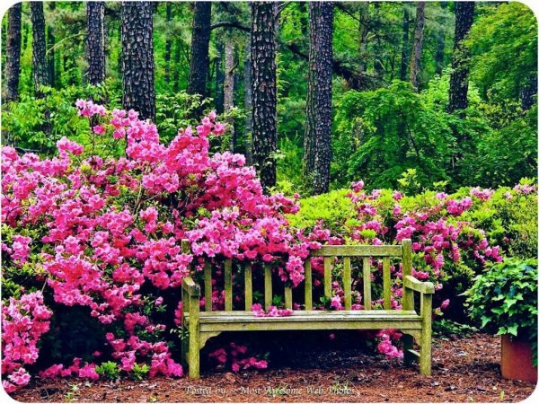 perfect-place-for-a-park-bench