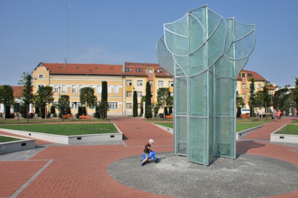 uvegkortefa_15_130822_rj